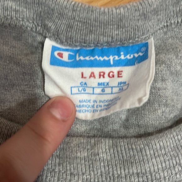 Men’s Vintage Champion Diagonal Heritage Script Graphic T-shirt - Picture 2 of 4